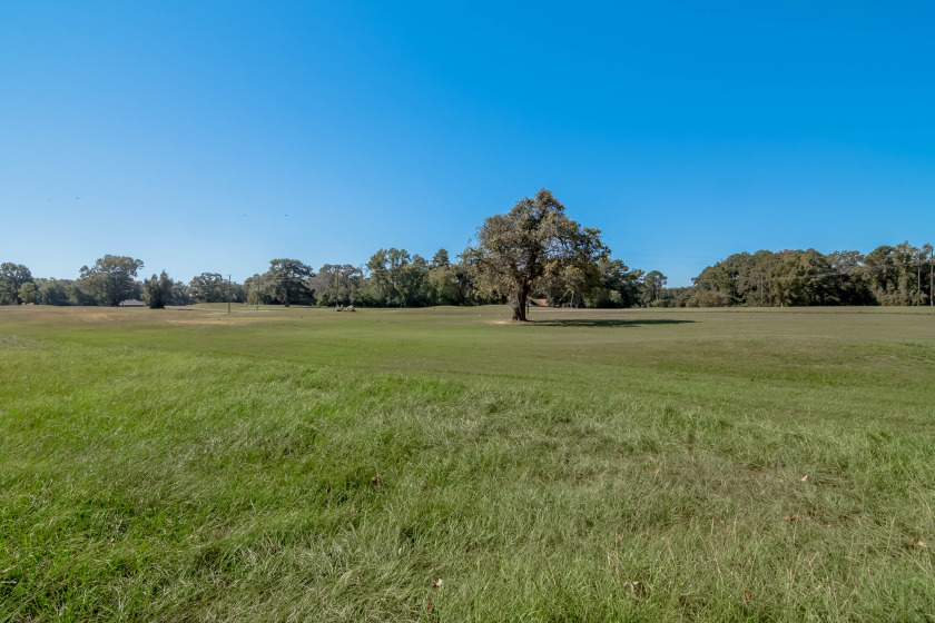Lot 7-8 Springs Road at Trinity Plantation SOLD - photo 9