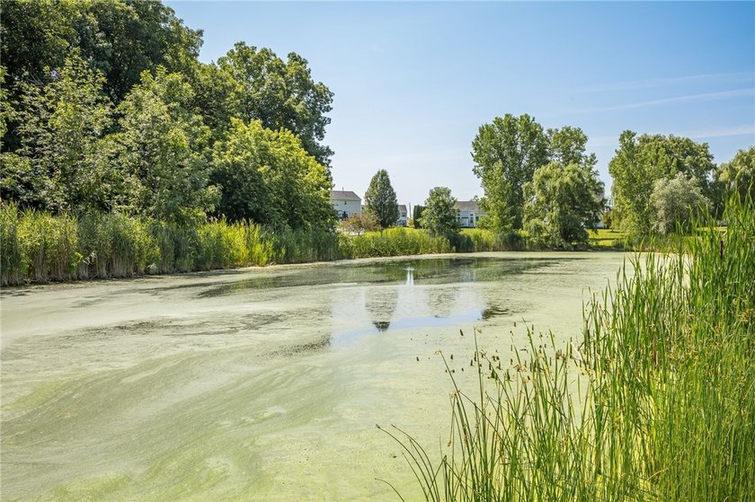 Looking for a beautiful, turn-key property in the desirable - photo 44