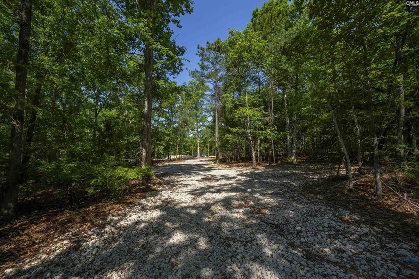 +/-10.74-acre tract offering licensed lake access to Lake Murray - photo 18