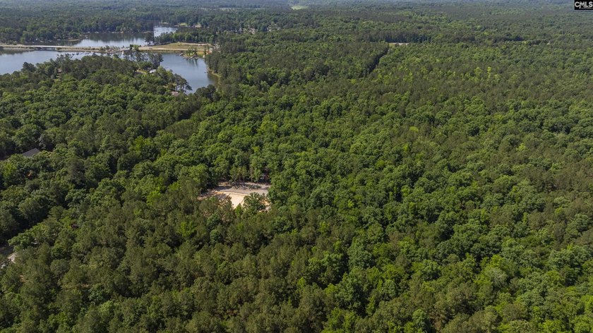 +/-10.74-acre tract offering licensed lake access to Lake Murray - photo 23