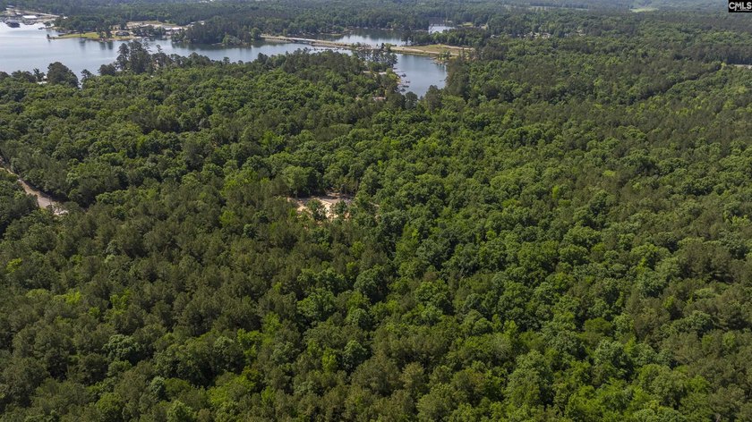 +/-10.74-acre tract offering licensed lake access to Lake Murray - photo 25