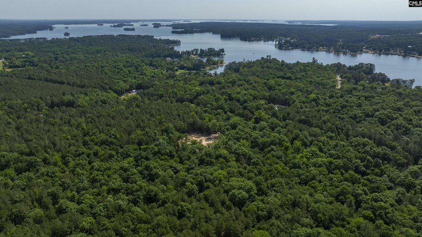 +/-10.74-acre tract offering licensed lake access to Lake Murray - photo 28
