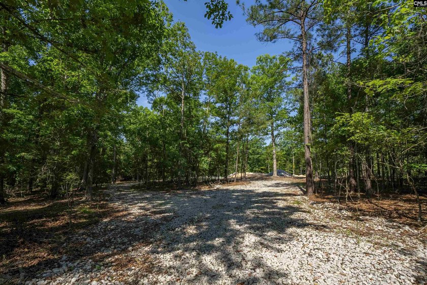 +/-10.74-acre tract offering licensed lake access to Lake Murray - photo 43