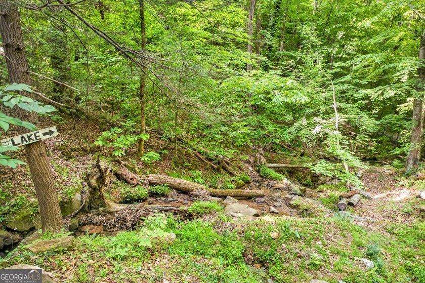 Fully furnished true log home on 5.78 private wooded acres in - photo 44