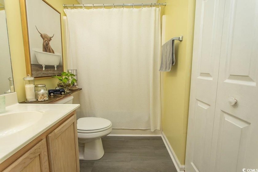 ***LISTING UPDATE: BRAND NEW LVP FLOORING - photo 8
