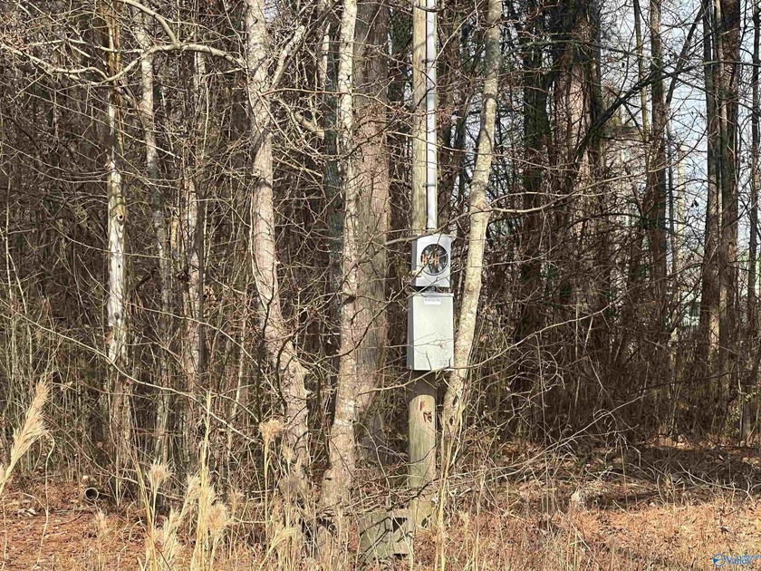 Level RV lot with view of the water across the road. Bring your - photo 3