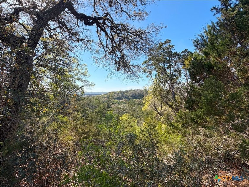 OWNER FINANCING AVAILABLE!! Discover the beauty of Hill Country - photo 4