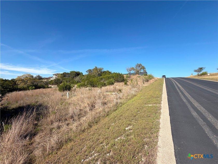 OWNER FINANCING AVAILABLE!! Discover the beauty of Hill Country - photo 6