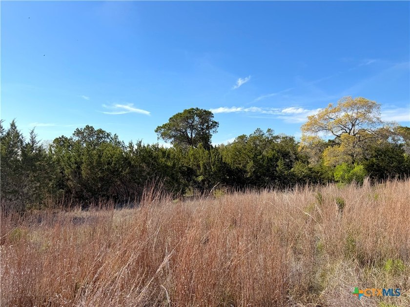 OWNER FINANCING AVAILABLE!! Discover the beauty of Hill Country - photo 8