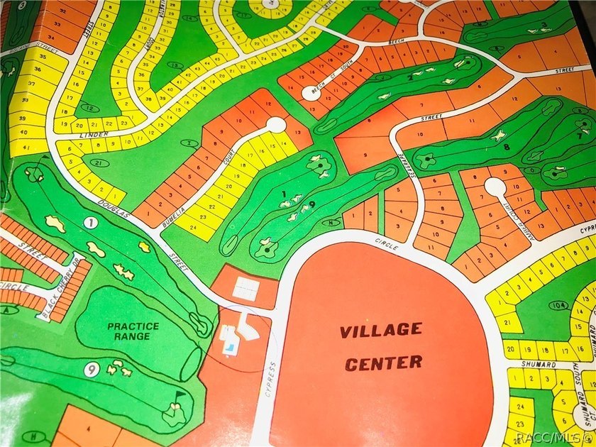 Premium home site in Cypress Village of Sugarmill Woods - photo 3