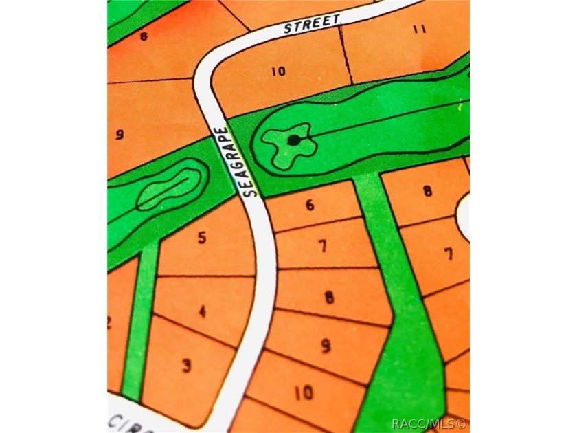 Premium home site in Cypress Village of Sugarmill Woods - photo 5