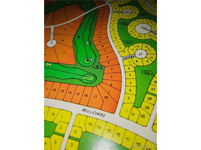 Premium home site on the golf course in Cypress Village at - photo 2