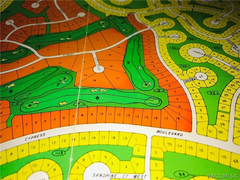 Premium home site on the golf course in Cypress Village at - photo 3