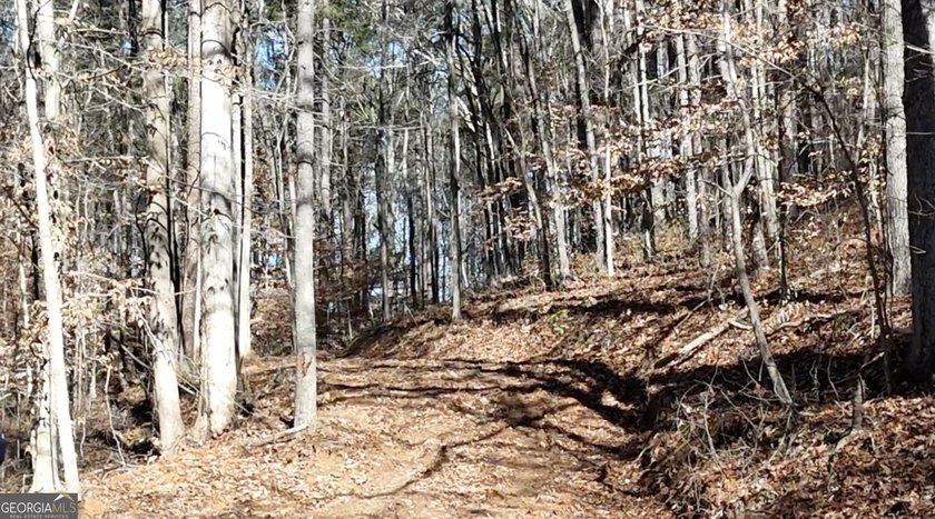 Large private estate lots surrounded by woods &amp; creeks in a park - photo 12