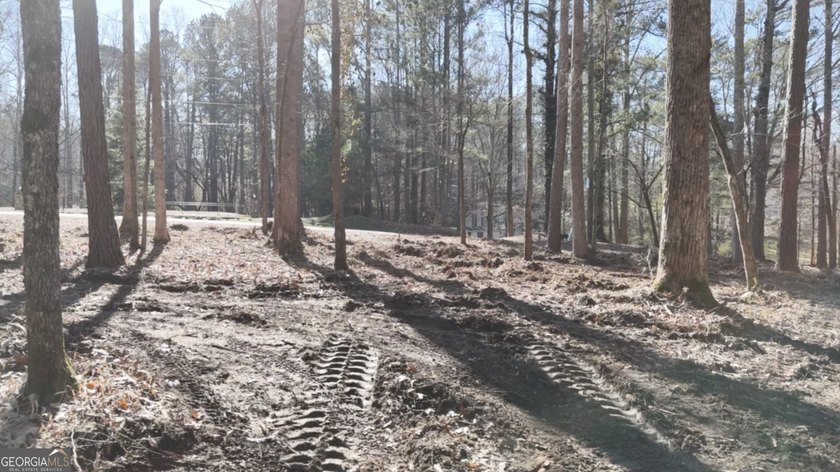 Large private estate lots surrounded by woods &amp; creeks in a park - photo 16