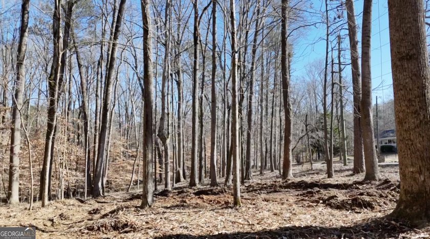Large private estate lots surrounded by woods &amp; creeks in a park - photo 17