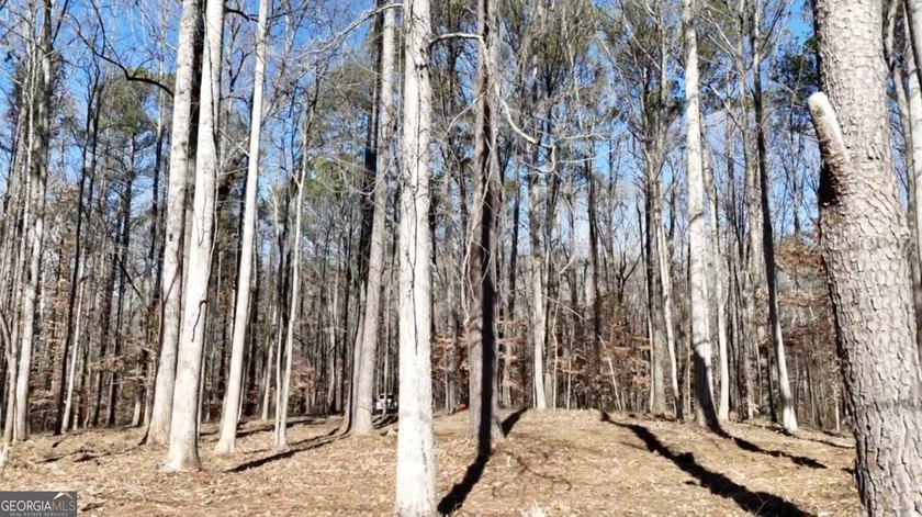 Large private estate lots surrounded by woods &amp; creeks in a park - photo 18