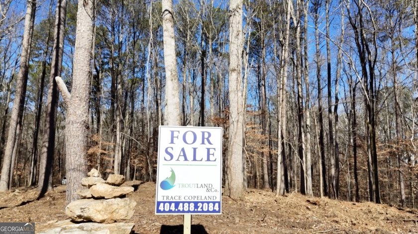 Large private estate lots surrounded by woods &amp; creeks in a park - photo 20