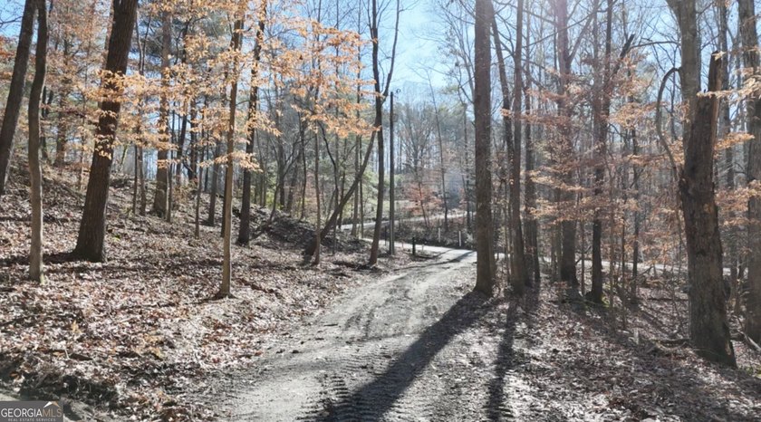 Large private estate lots surrounded by woods &amp; creeks in a park - photo 24