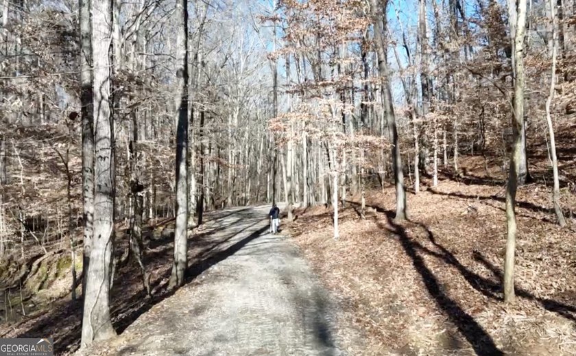 Large private estate lots surrounded by woods &amp; creeks in a park - photo 27