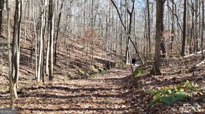 Large private estate lots surrounded by woods &amp; creeks in a park - photo 31