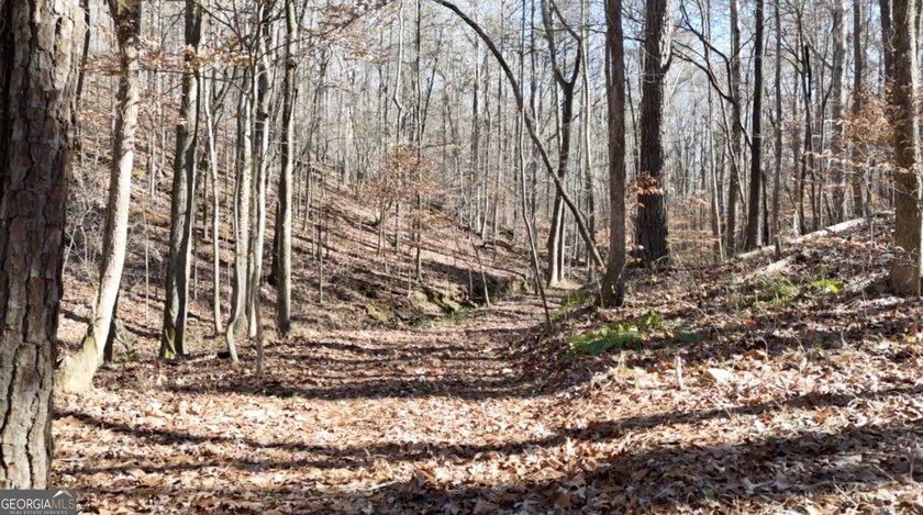 Large private estate lots surrounded by woods &amp; creeks in a park - photo 33