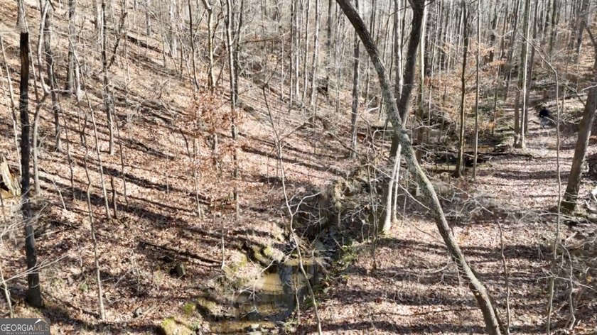 Large private estate lots surrounded by woods &amp; creeks in a park - photo 34