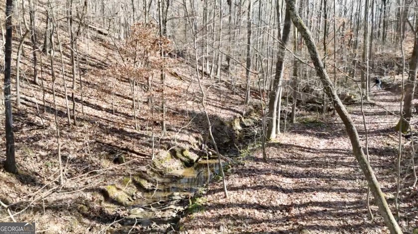 Large private estate lots surrounded by woods &amp; creeks in a park - photo 35