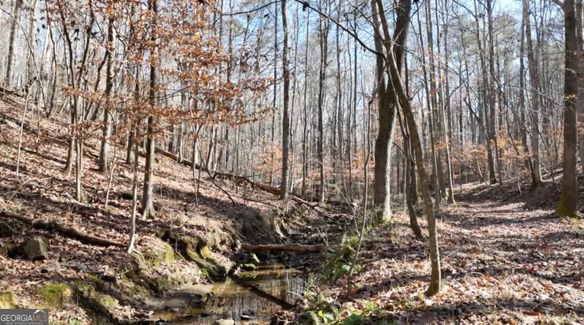 Large private estate lots surrounded by woods &amp; creeks in a park - photo 36