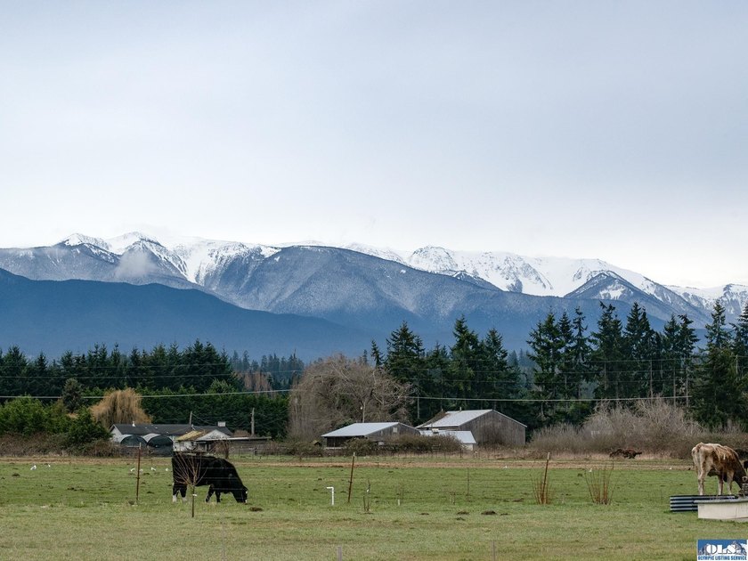 Prepare to be captivated by this stunning property in Agnew - photo 42