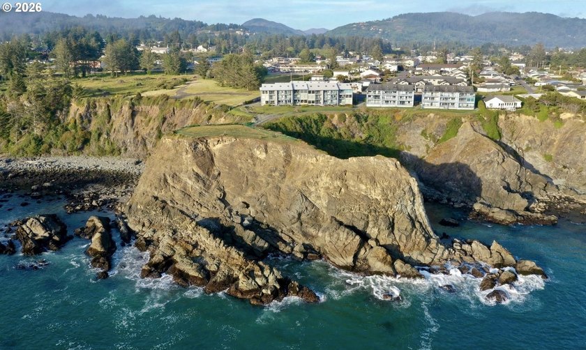 Luxury oceanfront living awaits in this gated, single level - photo 37