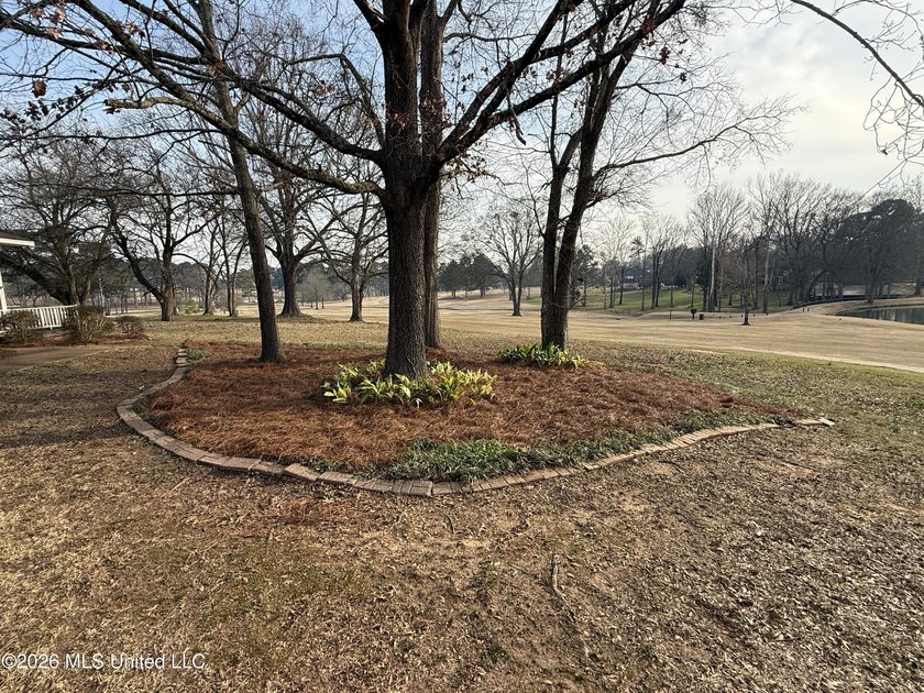 With one of the best locations in the city of Starkville, this - photo 13