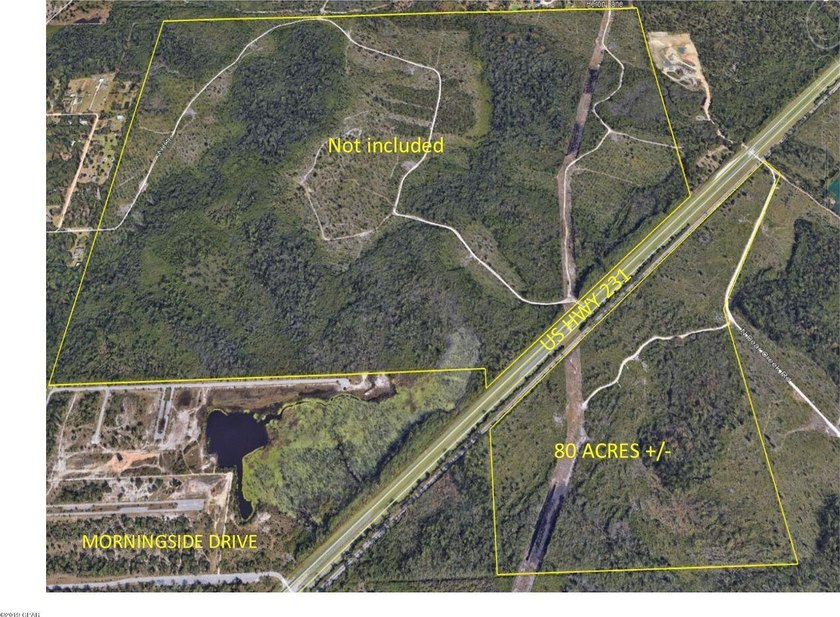Approximately 80 acres with +/- 3,700 feet fronting U.S. Highway - photo 3