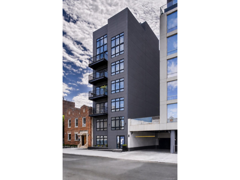 Welcome to the Astra! Astoria's newest architectural gem, a - photo 7