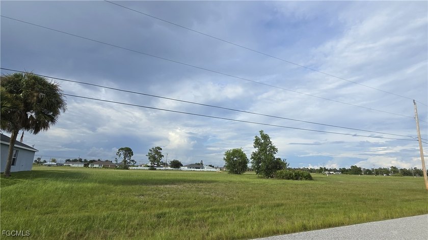ATTENTION INVESTORS &amp; DEVELOPERS! Prime 0.34-acre - photo 4