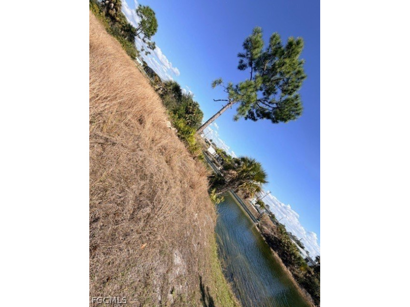 FRESHWATER CANAL LOT-New Improved Price! Build your dream home - photo 6