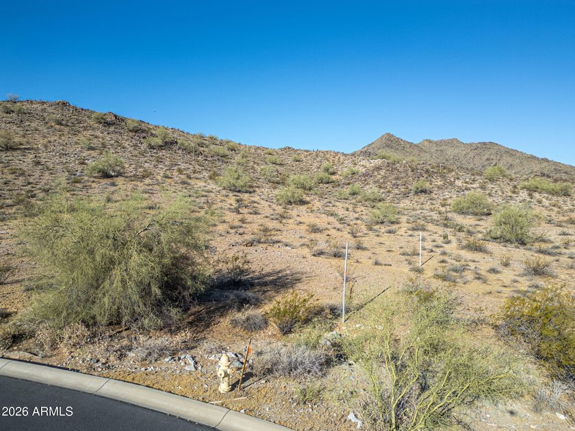 Exclusive Custom Homesite in Verrado's Prestigious custom home - photo 14