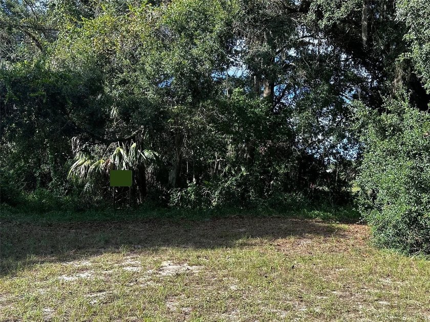 This 0.28 acre lot is in downtown Inglis, Florida, and is - photo 4