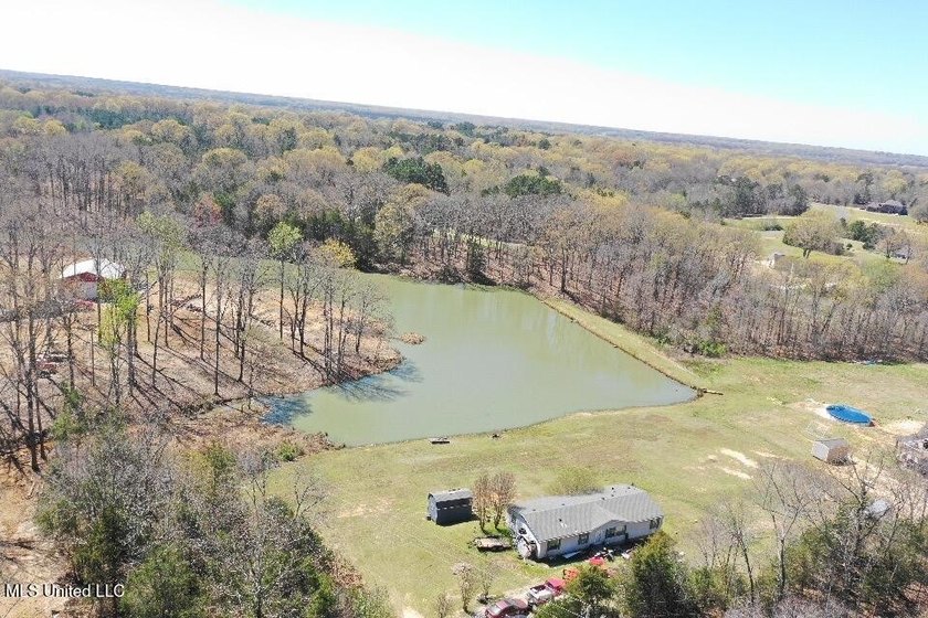 Boundary Lines are approximate in primary photo. All structures - photo 3