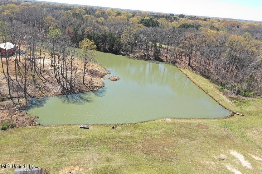 Boundary Lines are approximate in primary photo. All structures - photo 7