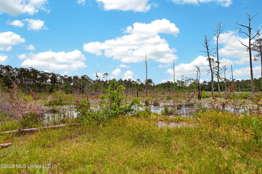 Enjoy peaceful country living with convenient access to I-10 - photo 45