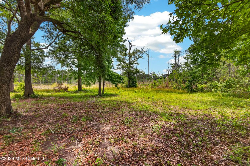 Enjoy peaceful country living with convenient access to I-10 - photo 46