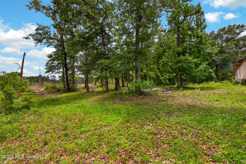 Enjoy peaceful country living with convenient access to I-10 - photo 47