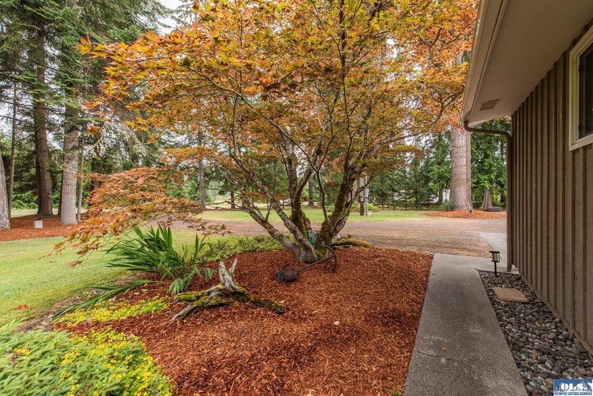 Private 1.7-acre retreat minutes from Sequim, wrapped in - photo 13