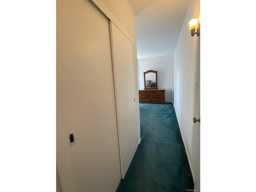 This cooperative unit apartment offers breathtaking views of the - photo 13