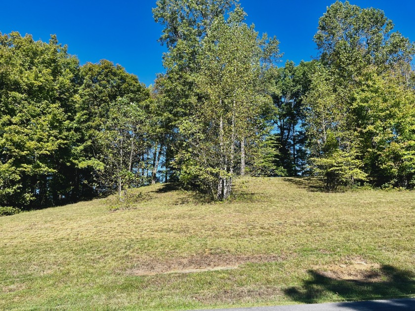 Gorgeous Views on the High Hill!! - photo 2