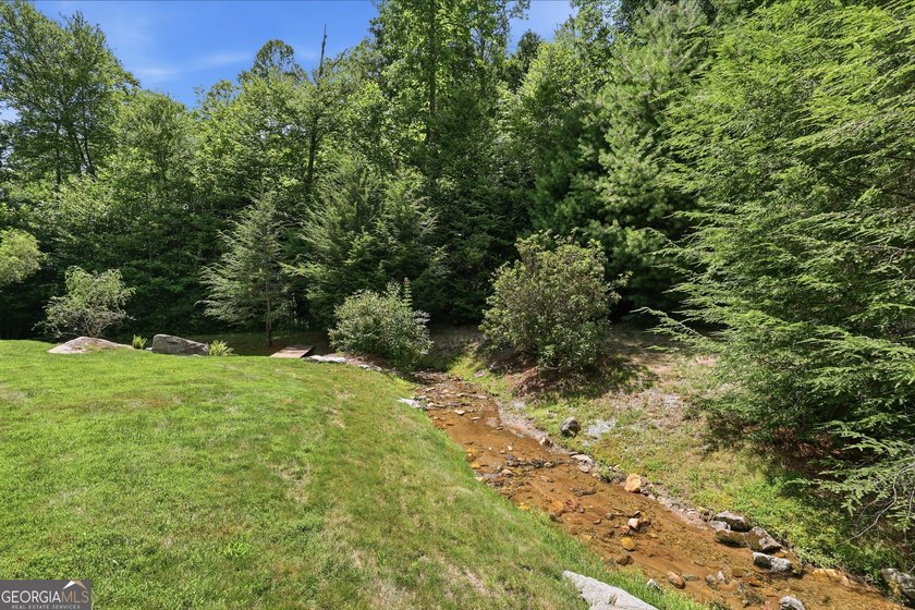 Bordering protected U.S. Forest Land in the heart of the Blue - photo 17