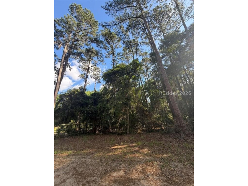 1/3 of an acre on Daufuskie Island with No HOA awaits! Live on - photo 2