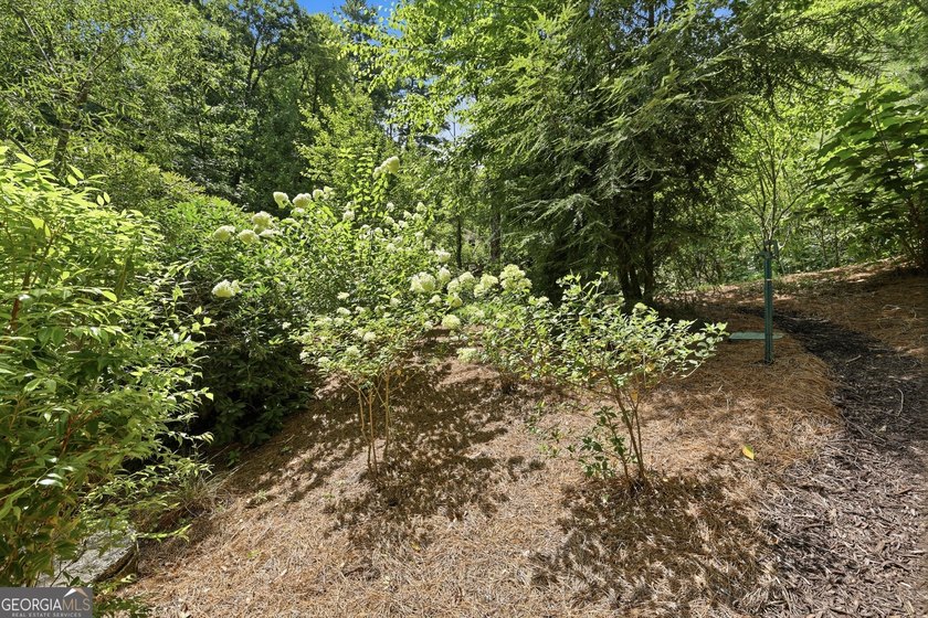 Bordering protected U.S. Forest Land in the heart of the Blue - photo 23