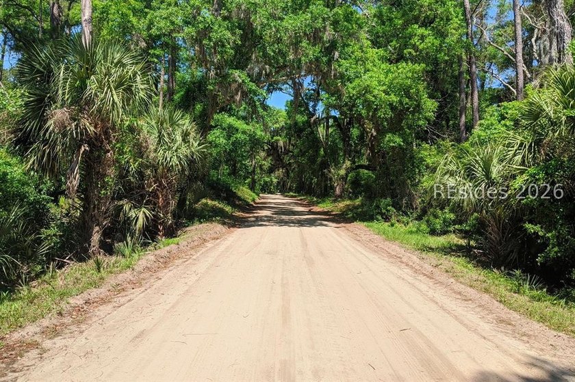 1/3 of an acre on Daufuskie Island with No HOA awaits! Live on - photo 8